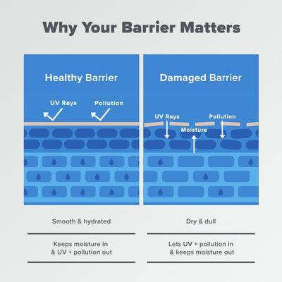 Barrier Repair Advanced Moisturizer